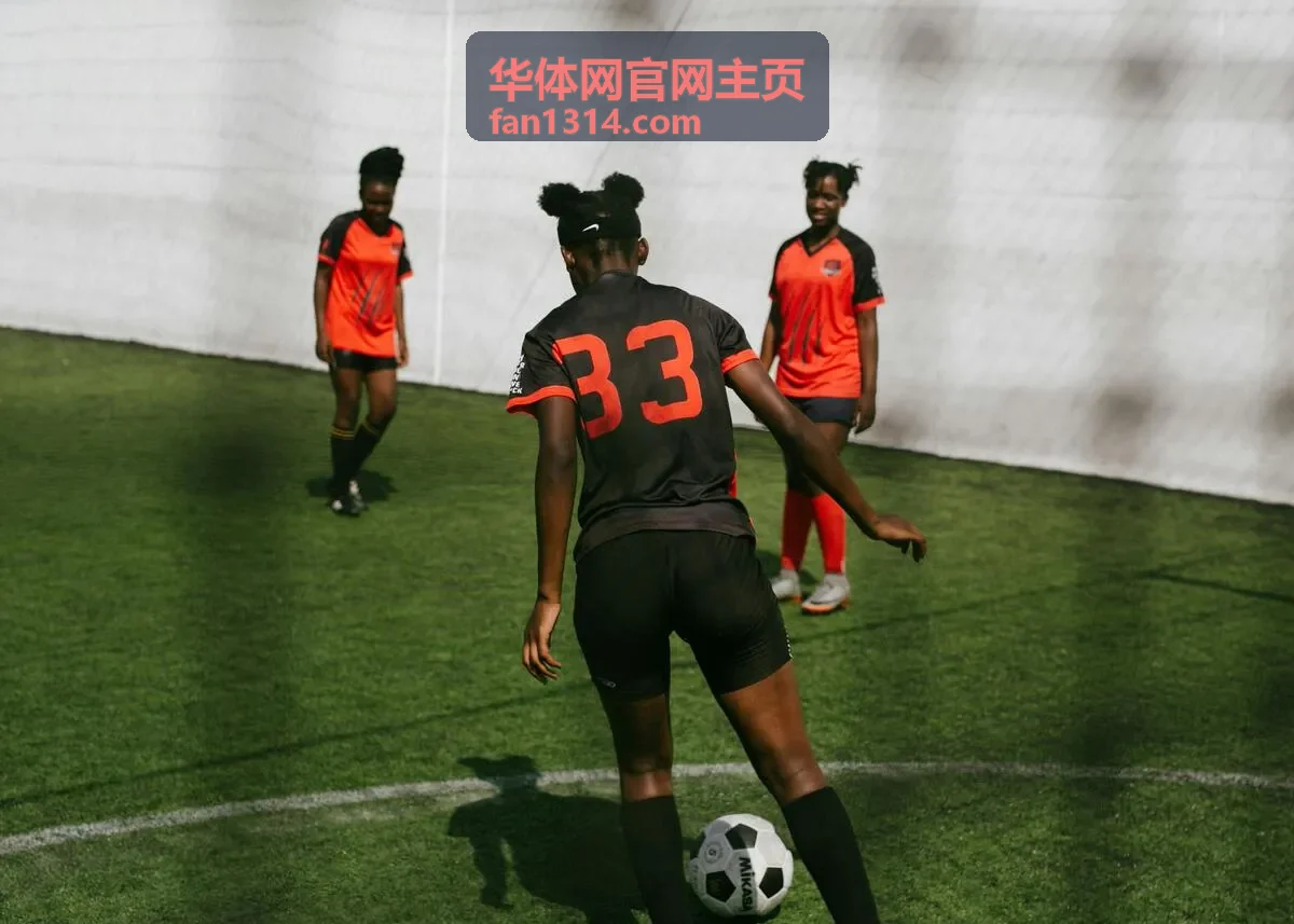 华体网官网主页场馆与赛事现场视觉